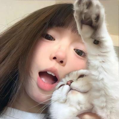 爱斯基摩闯纽约
