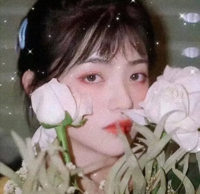 狗狗与我的十个约定